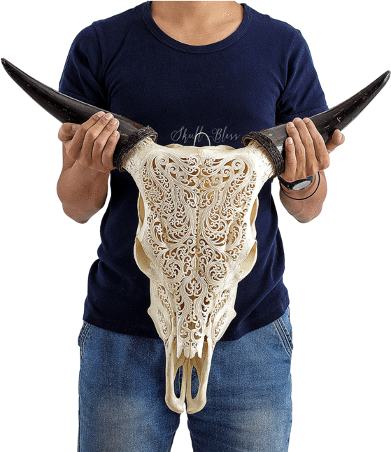Carved Cow Skull - Horn (645x645), Png Download