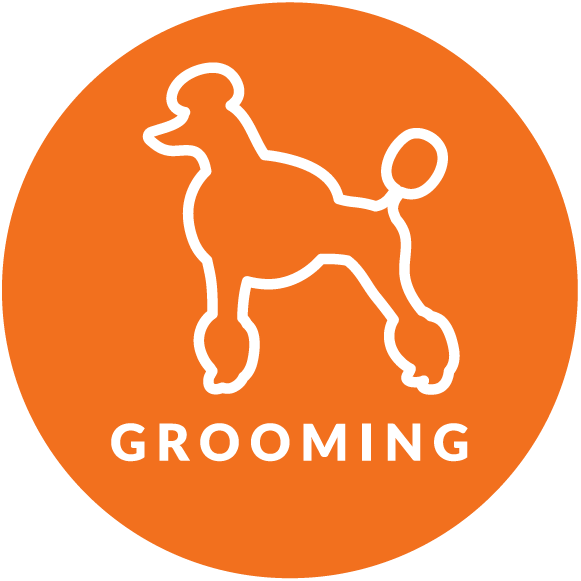 Doesn't Your Dog Deserve Their Best Life - Lexington Green Lakeside Live (581x581), Png Download