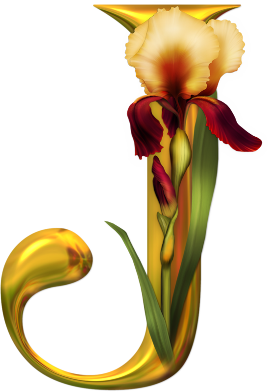J Fundos, Monogramas, Algumas Palavras, Papeis De Parede, - J Images With Flower (547x800), Png Download