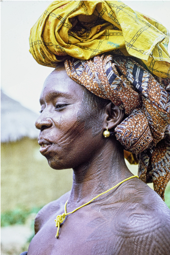 Portrait Of Woman With Face And Shoulder Scarification, - Statue (750x500), Png Download