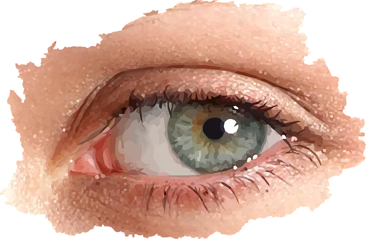 Vector Graphics,free Pictures, Free - Eye (1280x837), Png Download