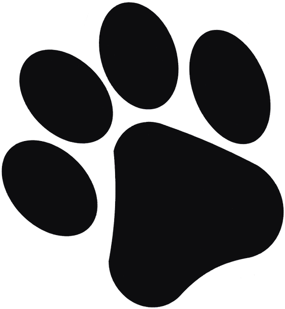 Tapak Kaki Kucing (640x640), Png Download