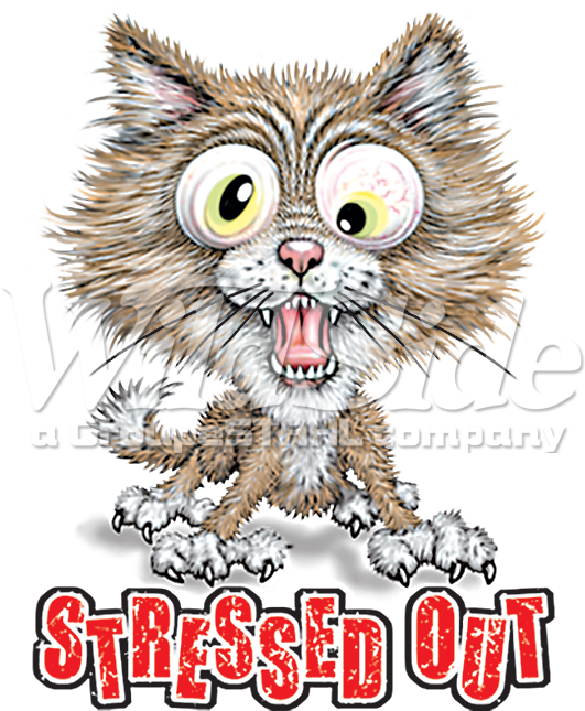 Stock Transfer - Stressed Out Cat (675x675), Png Download