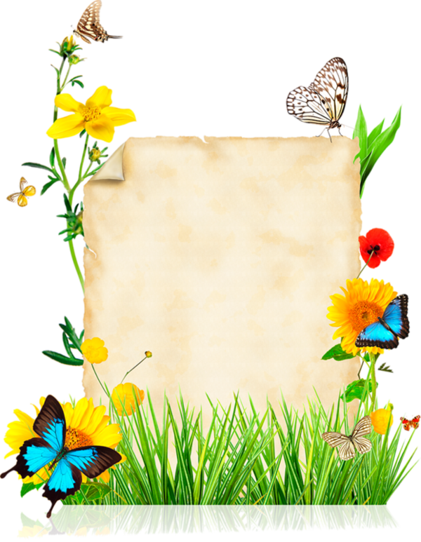 Parchemins - Butterfly Borders And Frames (600x773), Png Download