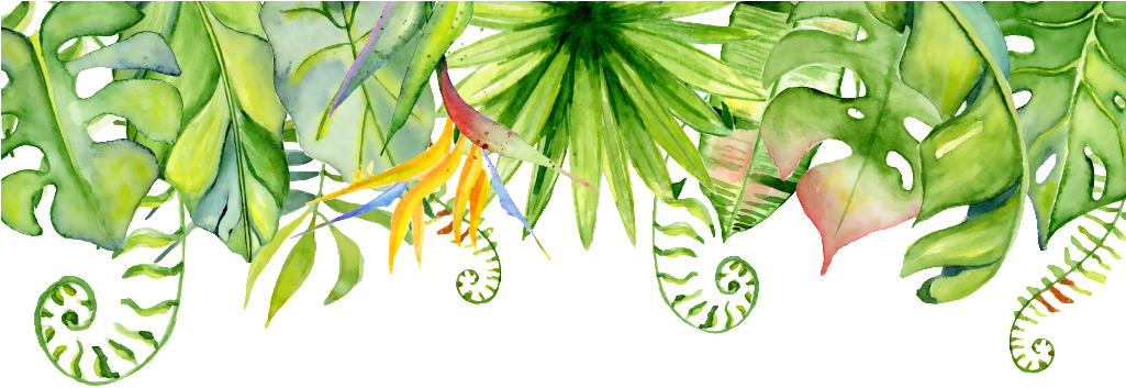 Hand Painted Multiple Varieties Leaves Png Transparent - Knows The Birthday Girl Best Game Questions (1024x1024), Png Download