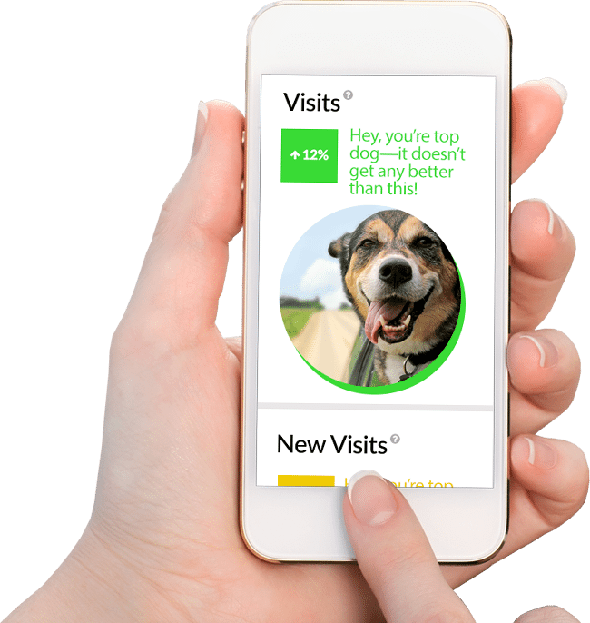 The Easiest And Most Enjoyable Way To See Your Website - Dog Breath Freshener - Spray Me: Doggy Dental Spray (650x686), Png Download