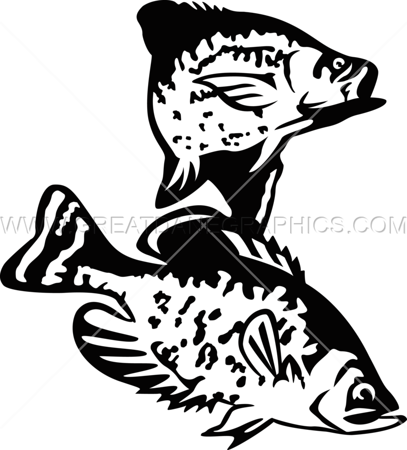 Crappie Drawing At Getdrawings - Crappie Illustration Black And White (825x912), Png Download