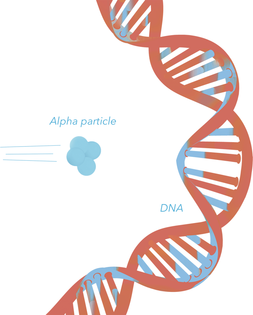 Dna Alpha Particle Collision - Dna (823x1024), Png Download