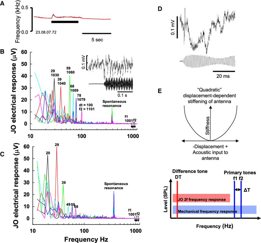 Responses To Low Frequency And Dts From The Jos Of - Harmonic (850x791), Png Download