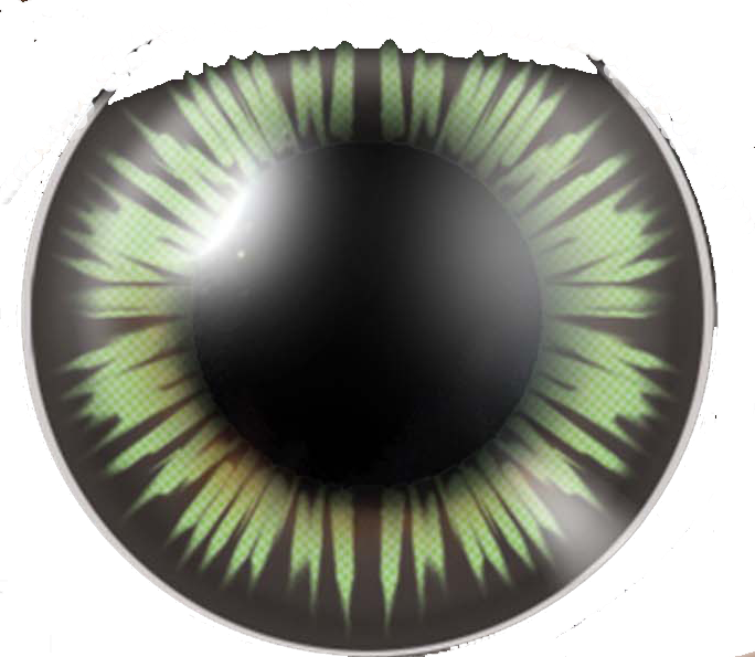 Big Eye Party Green - Eye (684x595), Png Download
