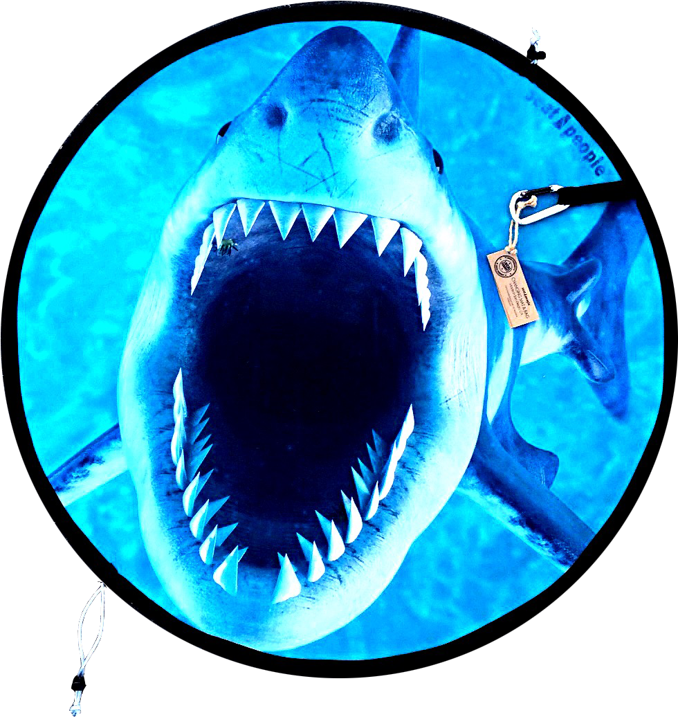 Jaws - Great White Shark (1085x1085), Png Download