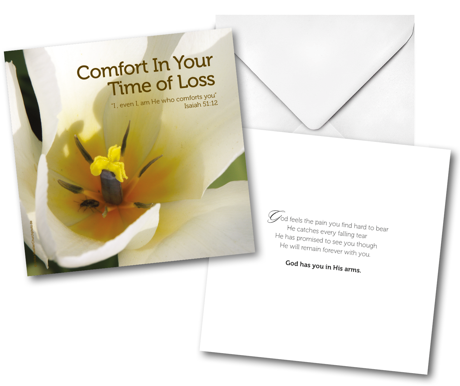 Hope & Healing Cards Pack - Austrian Briar (1519x1954), Png Download