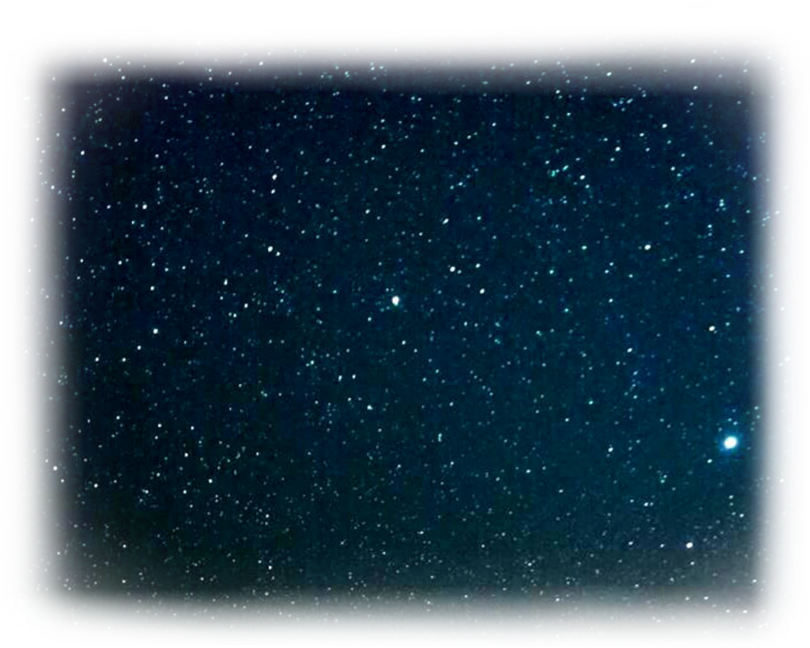 Report Abuse - Star (1364x1024), Png Download