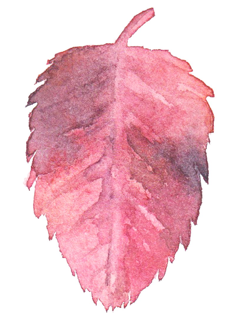 Transparent Watercolor Watercolor - Pink Watercolor Transparent (855x1147), Png Download