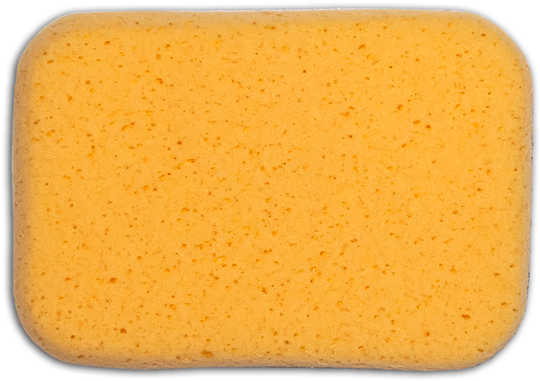 Sponge Leash - Tutti Frutti (800x548), Png Download