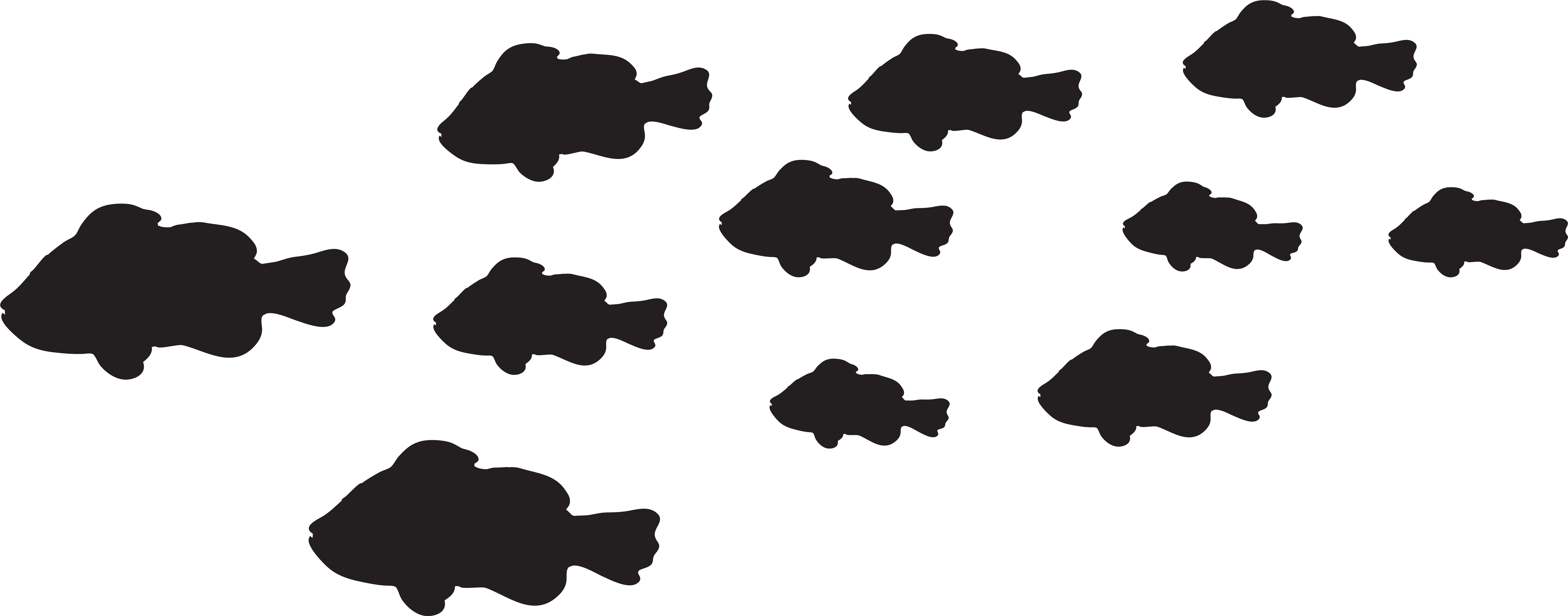 Fishes Png Full Size Png Download Seekpng
