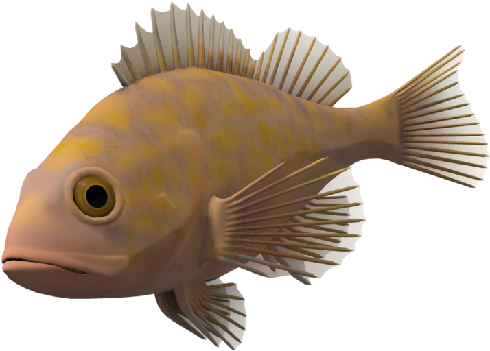 Download Ocean Fish Transparent Background - Fish Transparent ...