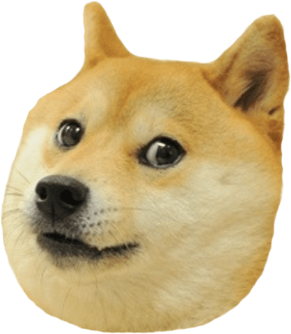Doge Head Big - Wow Such Doge! Wow Such Doge! Wow Such Doge! Sticker (536x537), Png Download