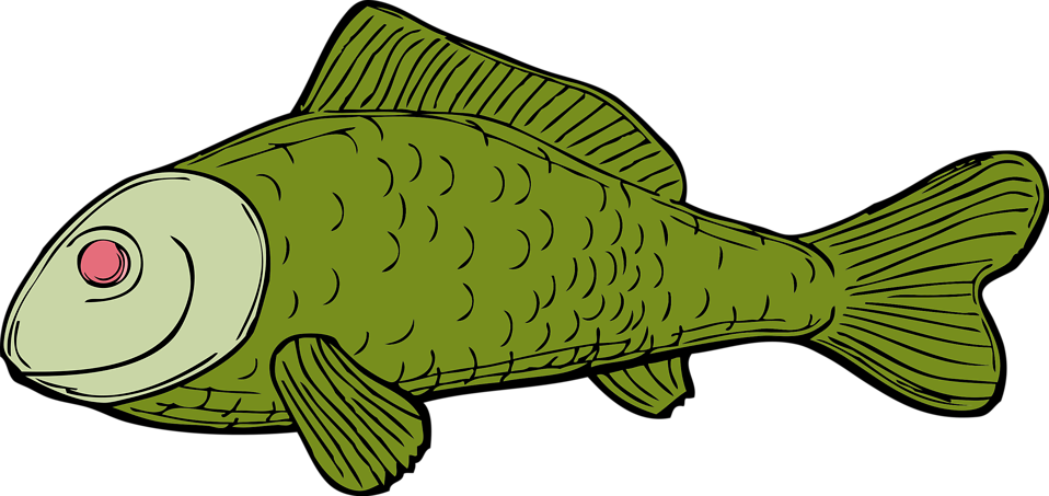 Free Stock Photo - Green Fish Shower Curtain (958x453), Png Download