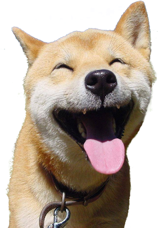 Cutest Dog Smiling Animals, Smiling Dogs, Happy Animals, - Prague Astronomical Clock (543x853), Png Download