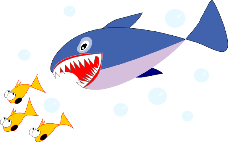 Piranha Clipart Angry Fish - Fish And Shark Clipart (800x497), Png Download