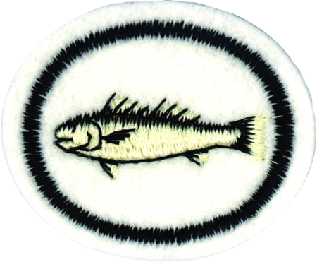 Fishes Honor - Fish (450x371), Png Download