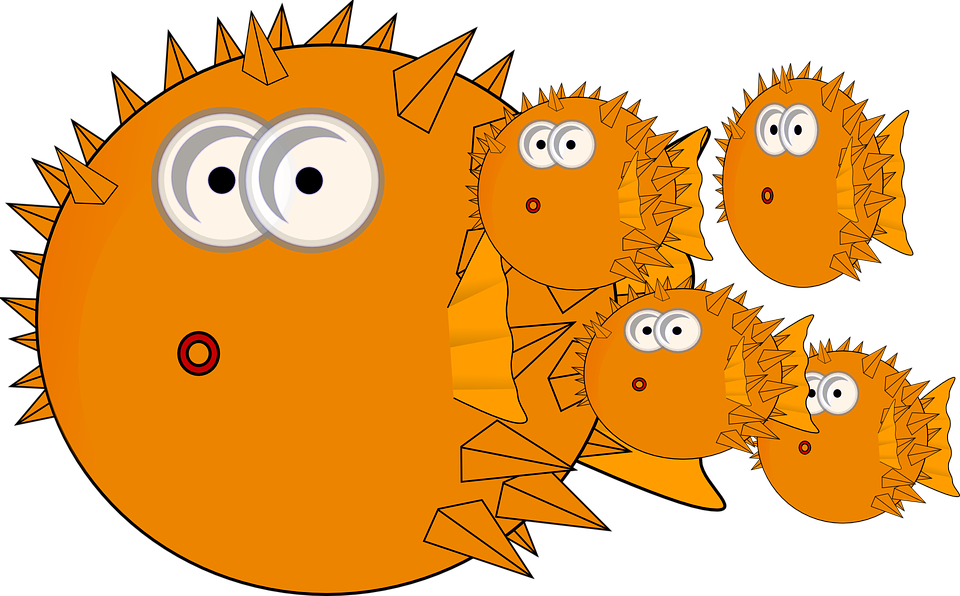 Fishes, Balloon, Family - Cartoon Fish (960x596), Png Download