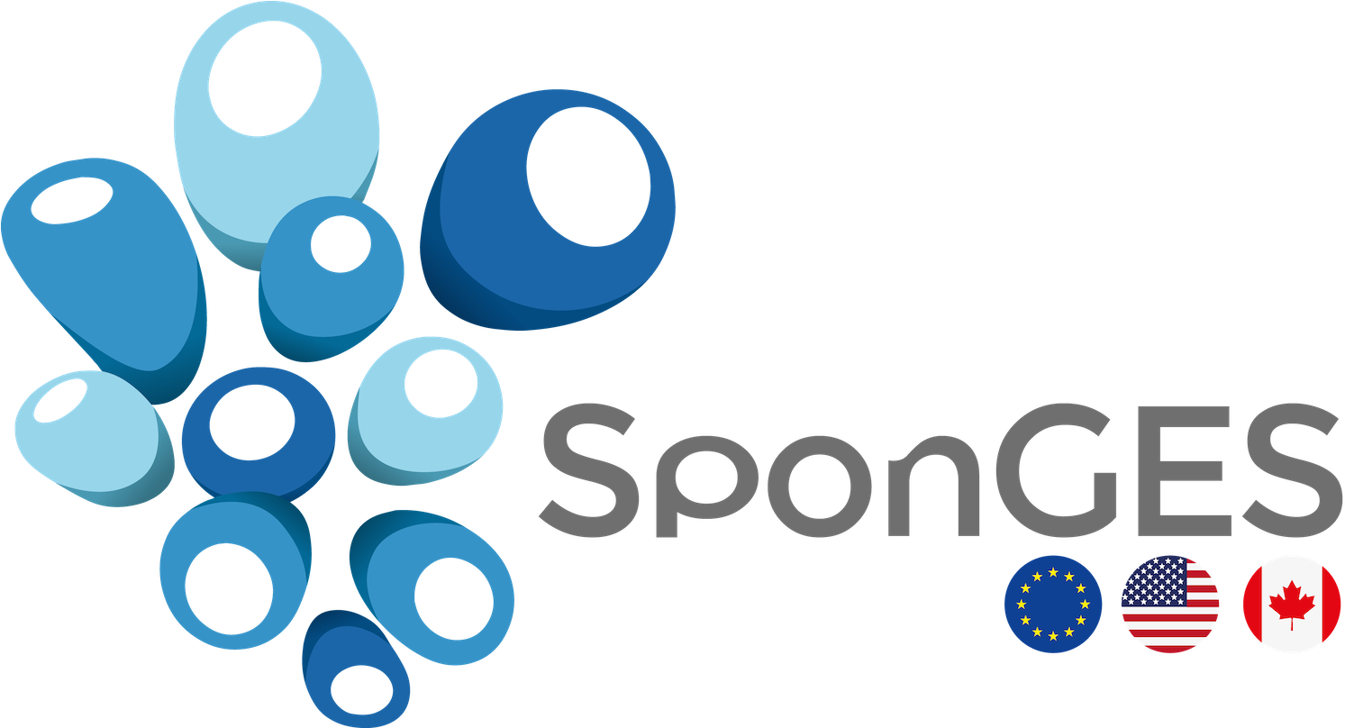 Sponges Has Received Funding From The European Union's (1500x807), Png Download