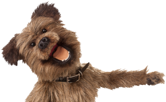 Start Your Search Here - Hacker T Dog Png (640x360), Png Download