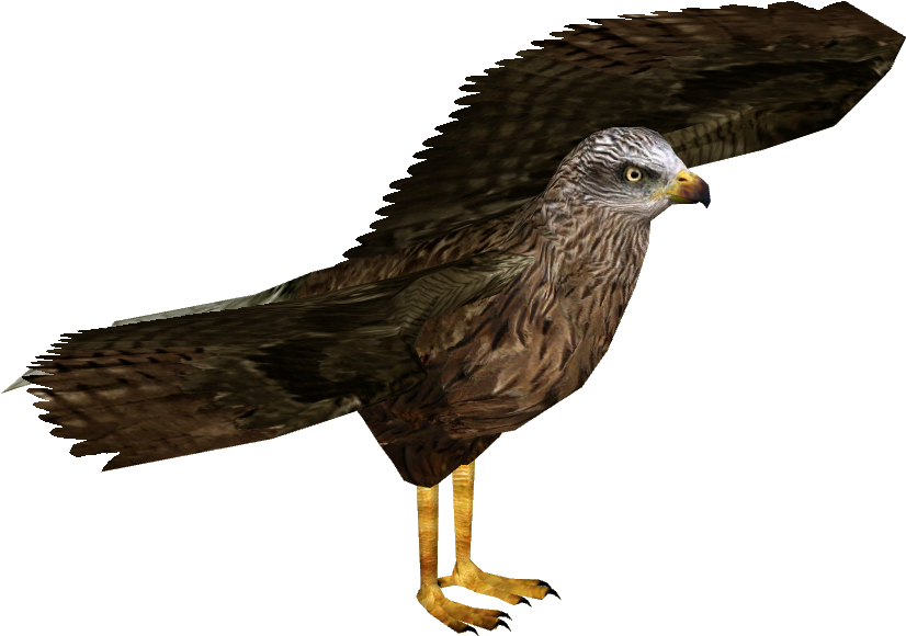 Black Kite 3 - European Starling (825x825), Png Download