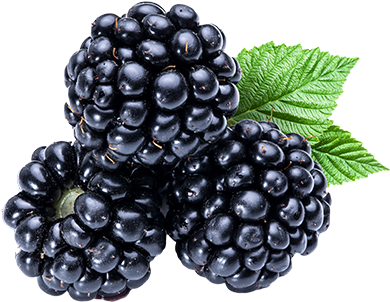 Blackberry (389x439), Png Download
