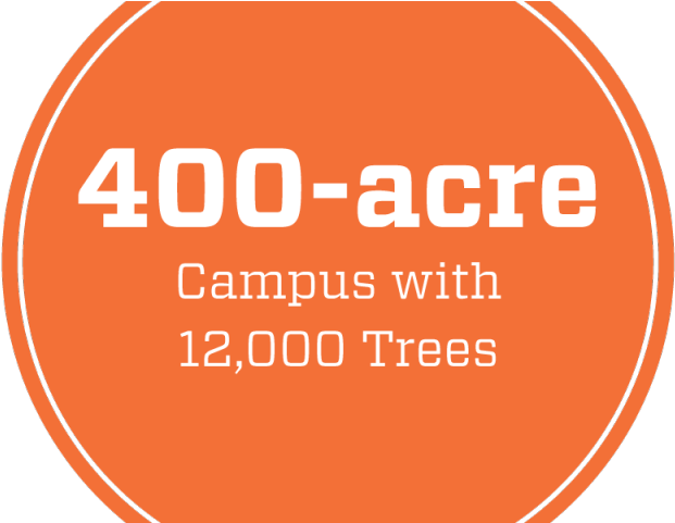 Clipart Volleyball Paint Splatter - Gracie Barra Jiu Jitsu (640x480), Png Download