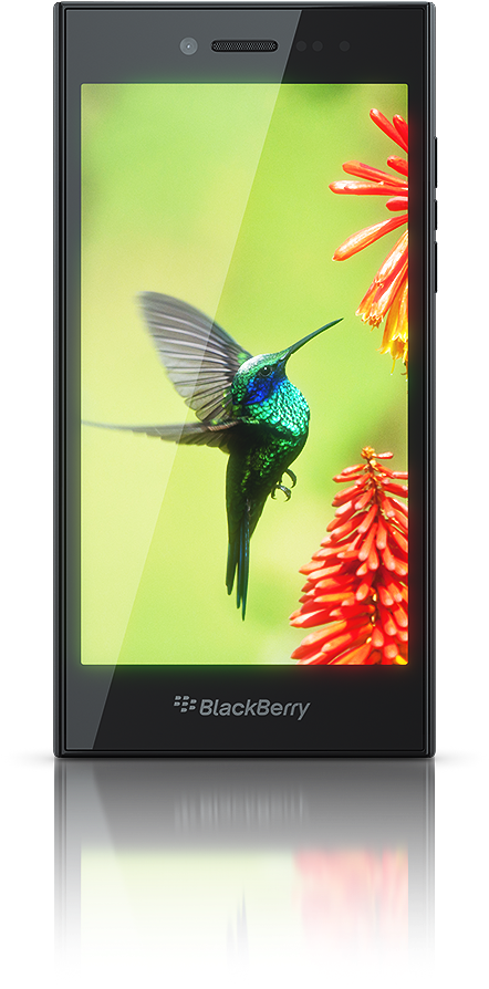 01 - Original - Bb Leap Vs Z10 4g (800x1000), Png Download