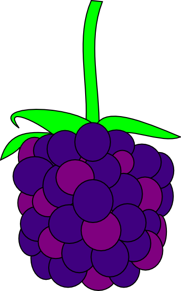 Blackberry Clip Art Png (372x599), Png Download