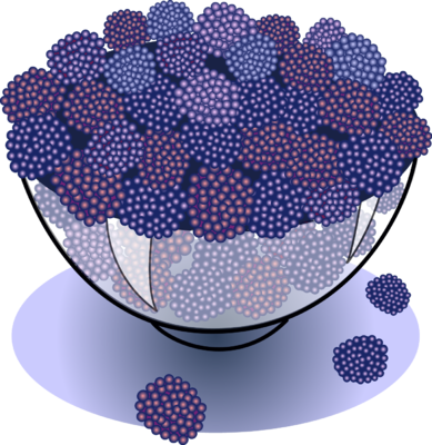 Image - Blackberries - Bowl Of Berries Clipart (389x400), Png Download