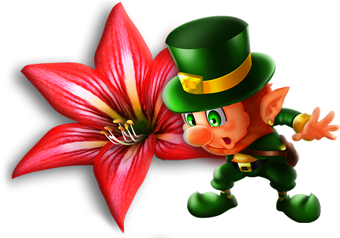 Extreme Phoenix Character - Character (510x346), Png Download