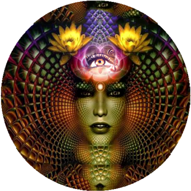 Career And Money - Glandula Pineal Meditação (400x402), Png Download