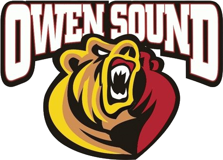 Owen Sound Attack - Owen Sound Attack Logo Png (500x372), Png Download