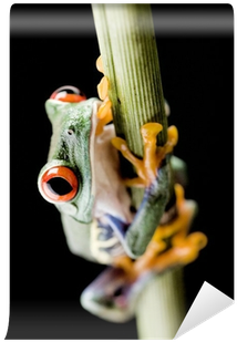 Vase (400x400), Png Download