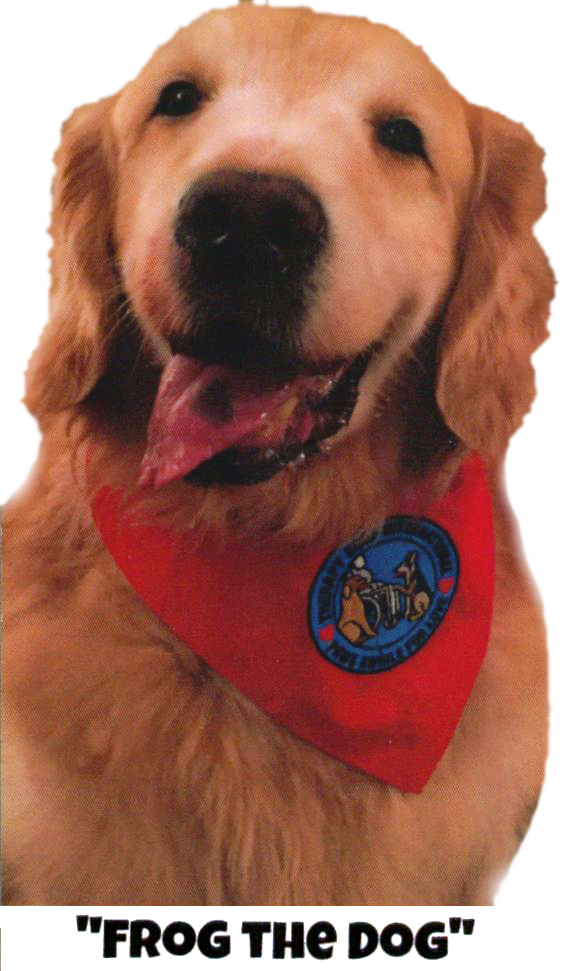Read With Frog The Dog - Golden Retriever (583x971), Png Download