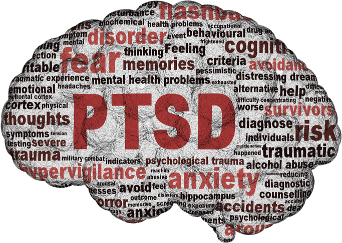 Ptsd, Vietnam Veteran News, Mack Payne - Posttraumatische Belastungsstorungen Bei Polizisten (705x513), Png Download