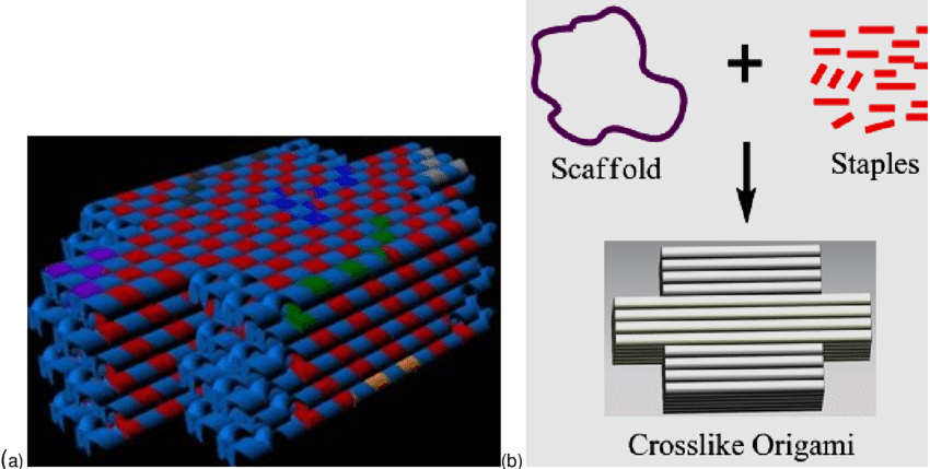 Model Depiction Of The 3d Dna Origami Cross-like Structure - Dna Origami (850x429), Png Download