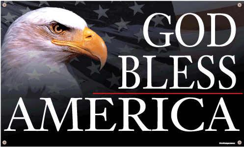 God Bless America Eagle Banner - Blessing Not A Curse By Jane Bennett (600x600), Png Download