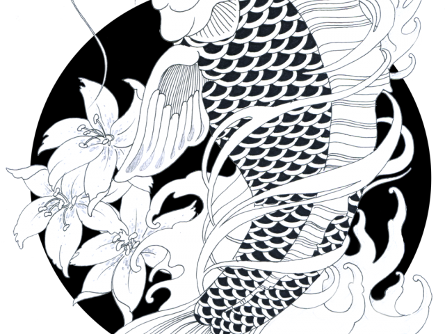 Drawn Koi Carp Body - Japanese Koi Fish Png (640x480), Png Download
