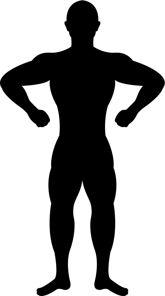Gymnast Silhouette - - Human Body (547x981), Png Download