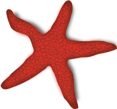 Banner Library Library Red Starfish Clip Art Free Panda - Starfish Clip Art (600x357), Png Download