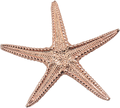 Sea Star Pendant Large - Pendant (491x435), Png Download