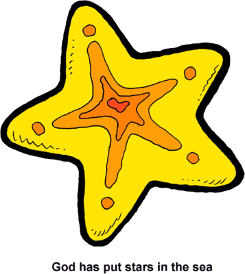 Sea Stars - Stars Fish (357x400), Png Download