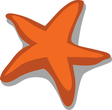 Marine Metre Squared Newsletter - Starfish (430x420), Png Download