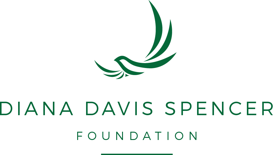 Logo Logo Logo Logo Logo - Diana Davis Foundation (888x506), Png Download
